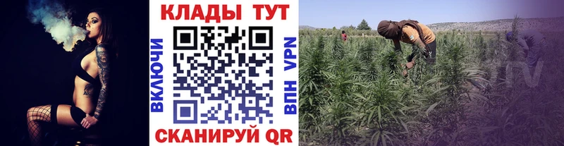 Цена Санкт-Петербург Alpha PVP  Меф мяу мяу  Канабис  Галлюциногенные грибы  COCAIN 