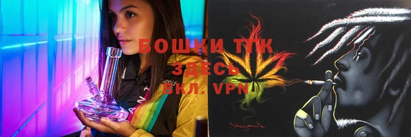 мет Новозыбков