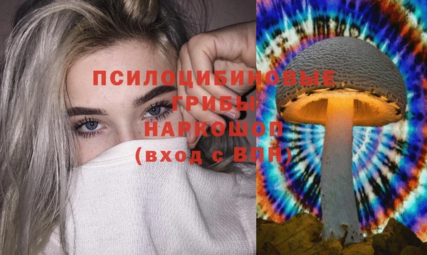 дурь Нефтекумск