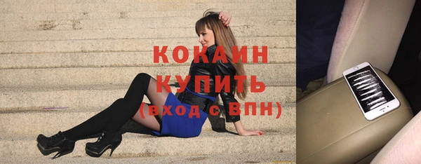 мет Новозыбков